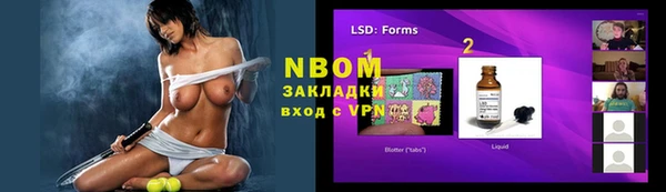 хмурый Абаза