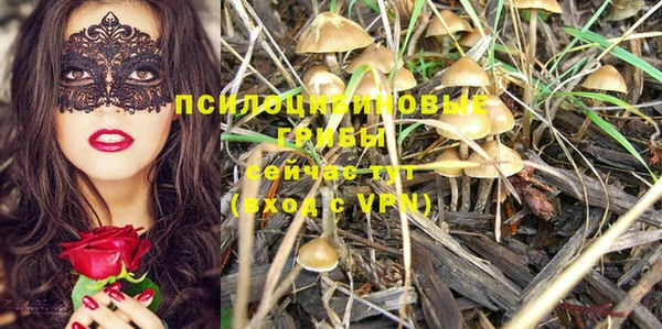 хмурый Абаза
