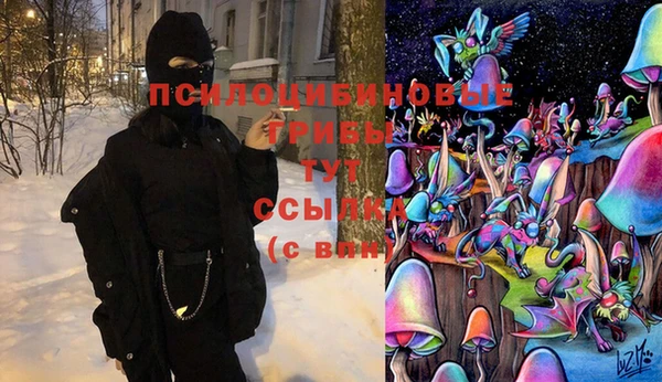 спайс Нягань