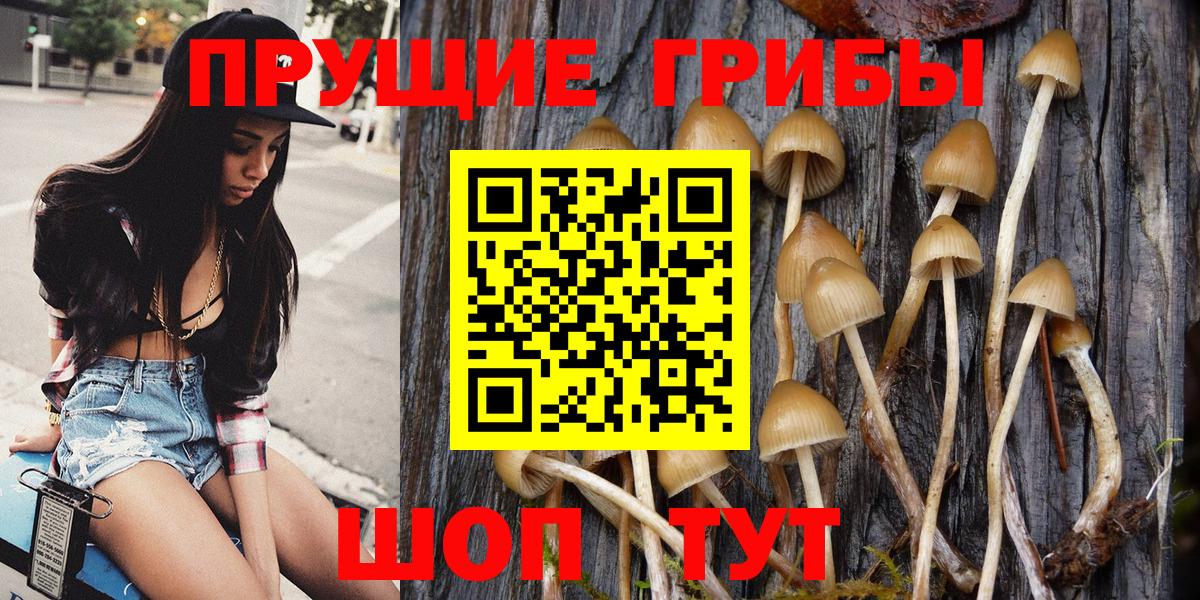 Галлюциногенные грибы прущие грибы  Вход с VPN  Псилоцибиновые грибы Psilocybine cubensis  Альметьевск 